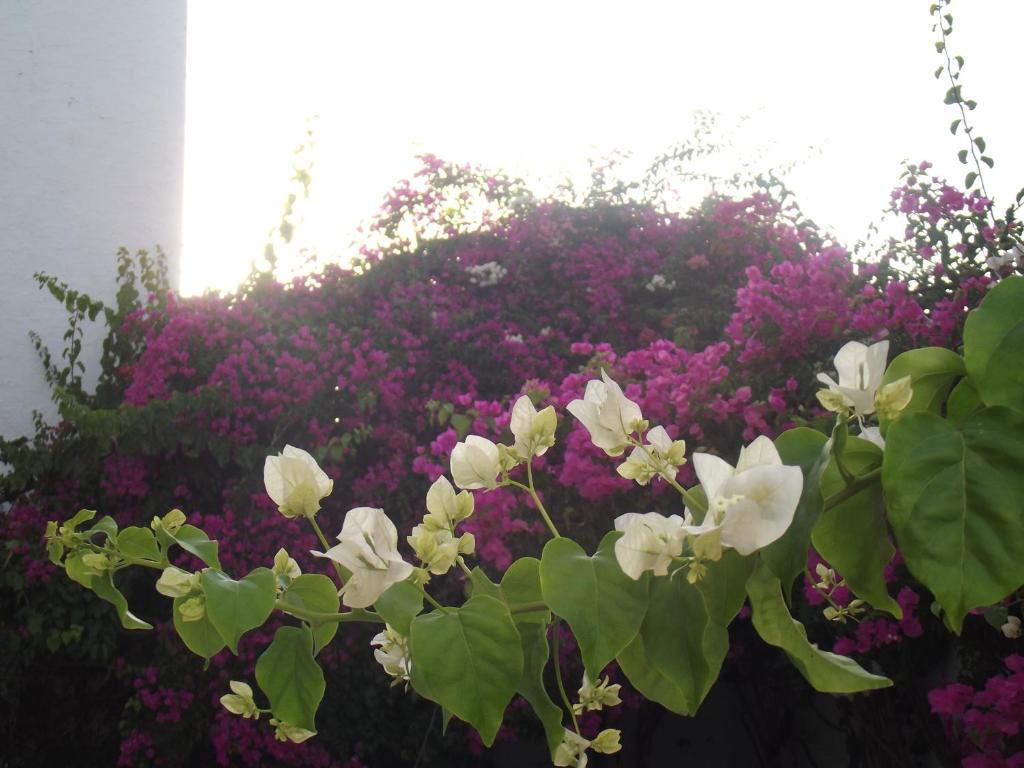 Phoenicia Bed & Breakfast
